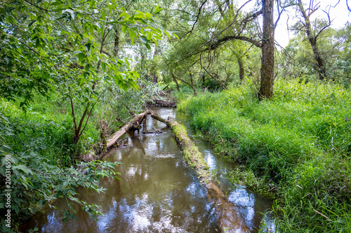 Small river Sukhodrev in the Kaluzhskiy region  Russia  