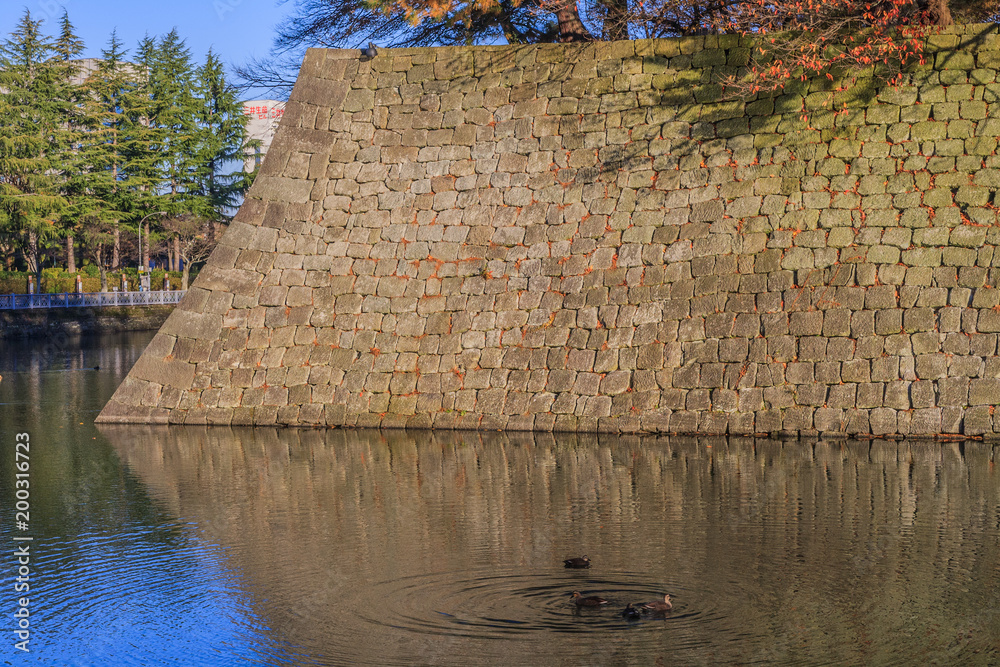 Naklejka premium 秋の福井城跡の風景