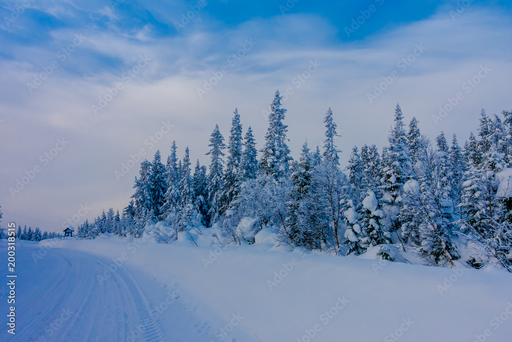 Beautiful outdoor view of road partial covered with heavy snow, and pine trees in the forest Beautiful outdoor view of road partial covered with heavy snow, and pine trees in the forest