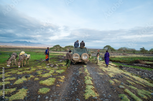 Land Cruiser on a lush plain 