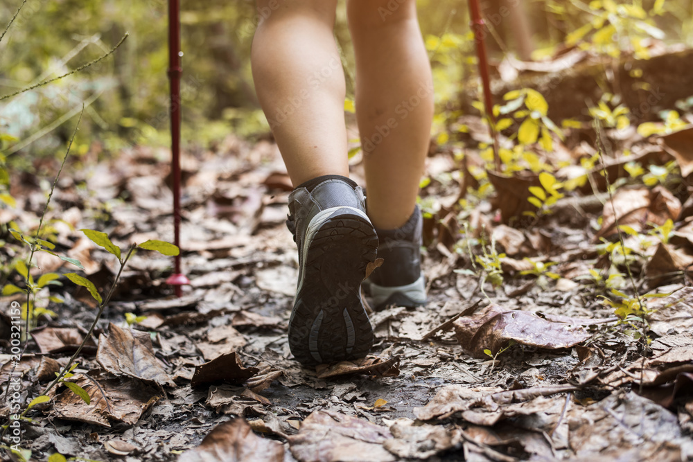 Trekking in a forest