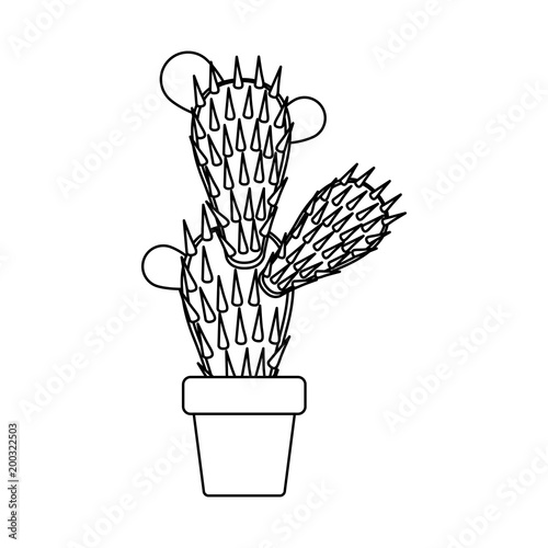 nopal cactus in pot