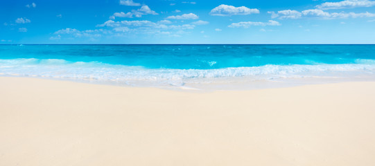 Summer beach and sea