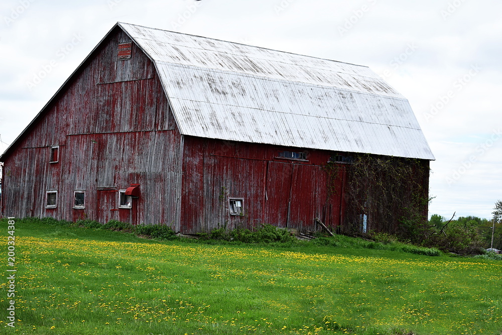 Red Barn Red Barn