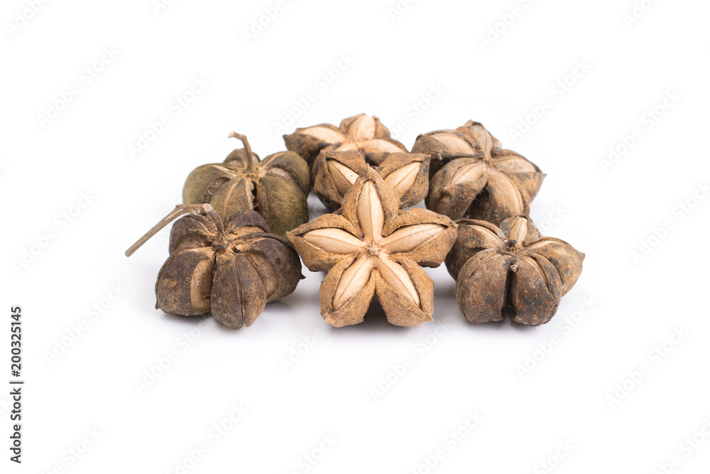 Plukenetia volubilis or sacha inchi peanut seed isolated on white background Plukenetia volubilis or sacha inchi peanut seed isolated on white background