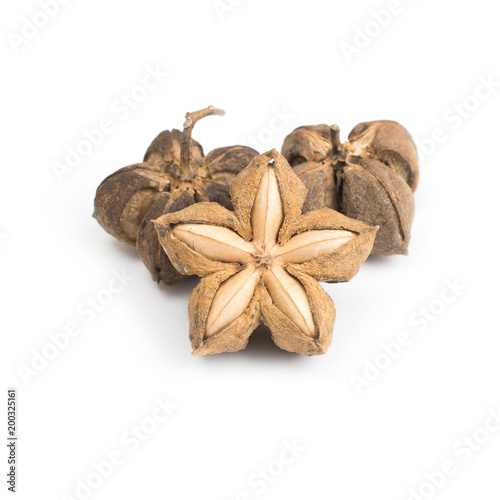 Plukenetia volubilis or sacha inchi peanut seed isolated on white background