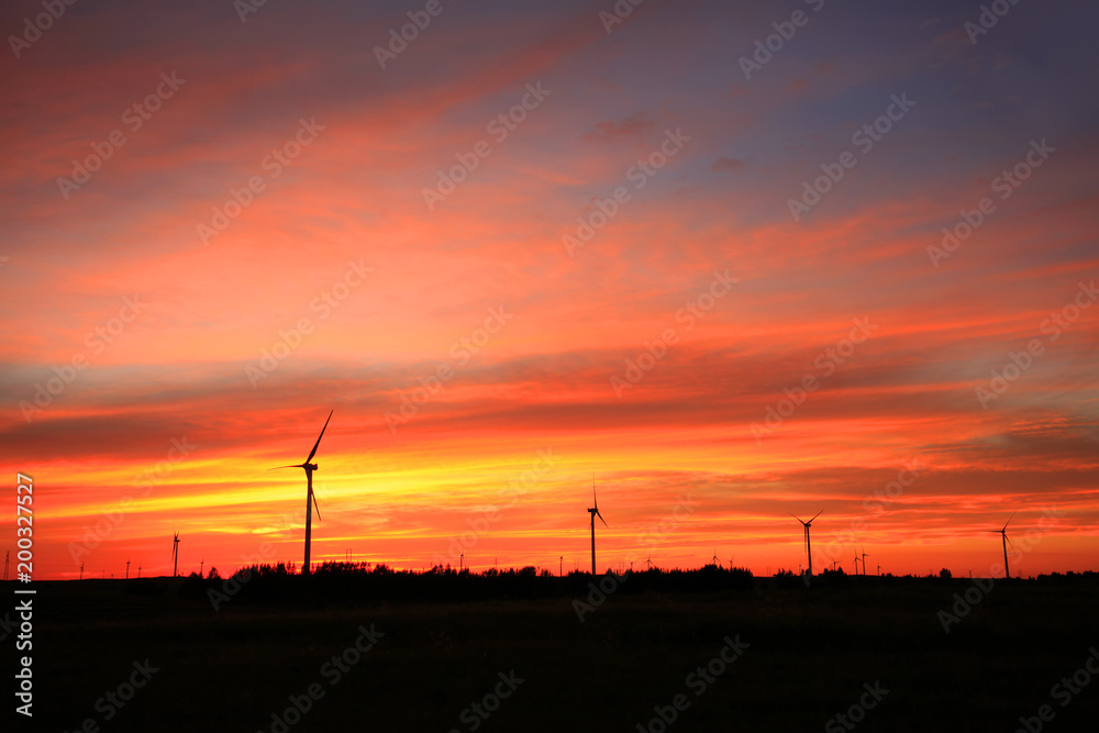 Fototapeta premium Wind turbines in the evening