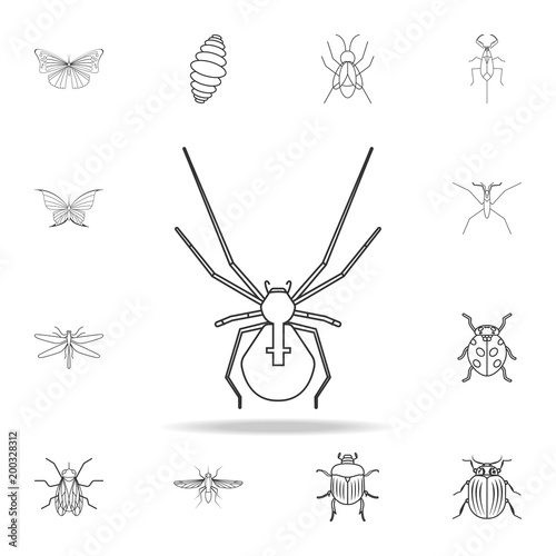 spider icon. Detailed set of insects line illustrations. Premium quality graphic design icon. One of the collection icons for websites, web design, mobile app