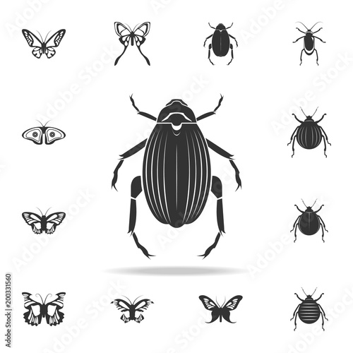 beetle goliath. Detailed set of insects items icons. Premium quality graphic design. One of the collection icons for websites, web design, mobile app