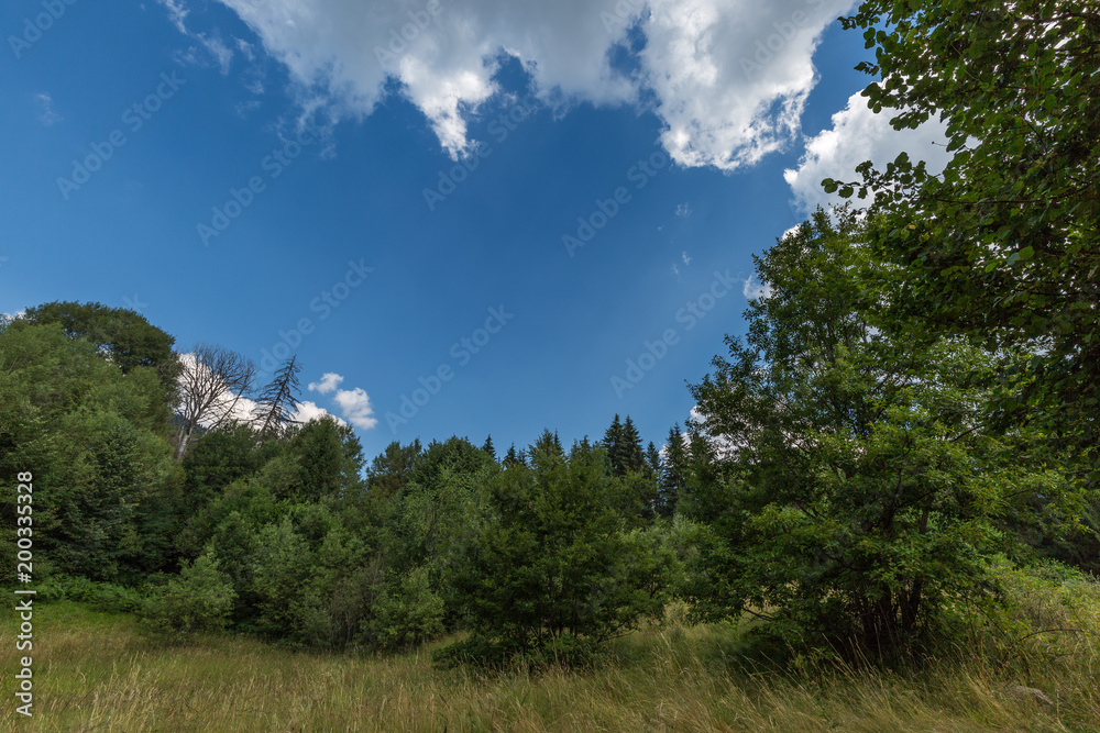 Landscape with trees, sky and clouds