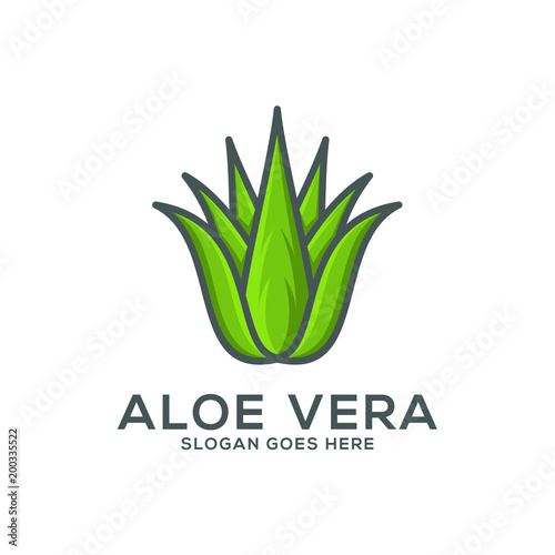 aloe vera vector illustrtaion, aloe vera logo