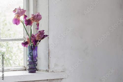 iris in vase on windowsill