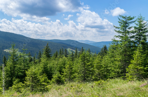 A nature landscape in Transylvania region