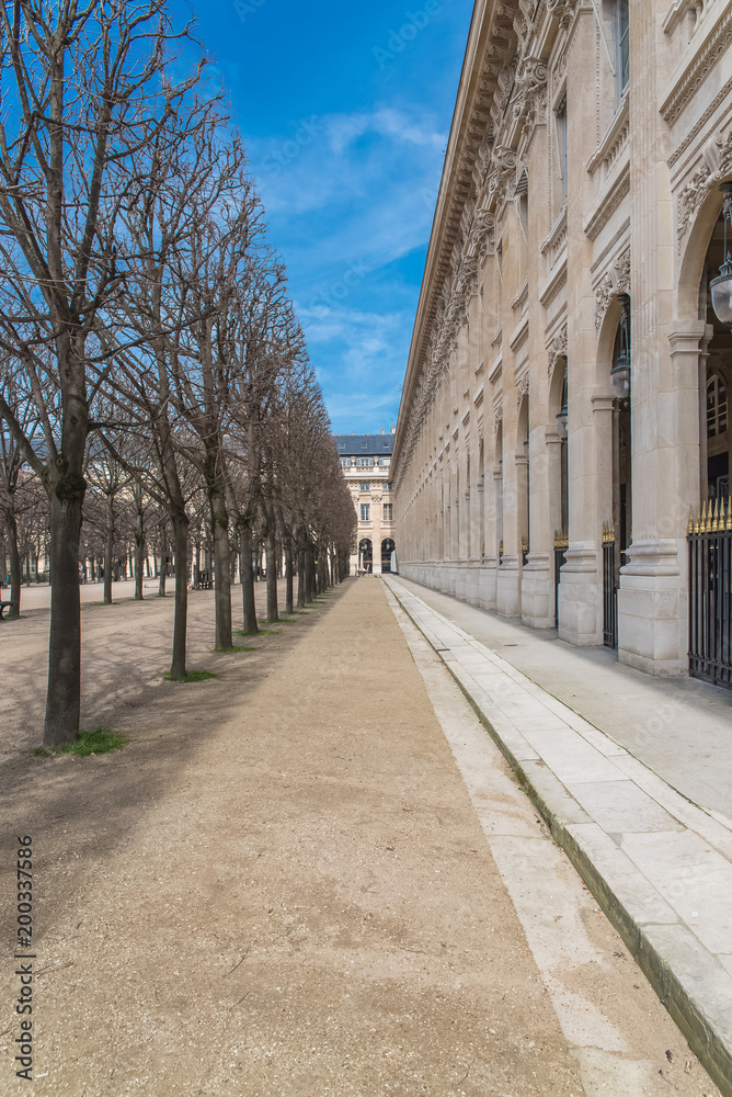 Paris, the Palais Royal gardens, beautiful alley, springtime
