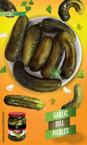 Vector realistic illustration of pickled cucumber. Vertical banner with pickles.
