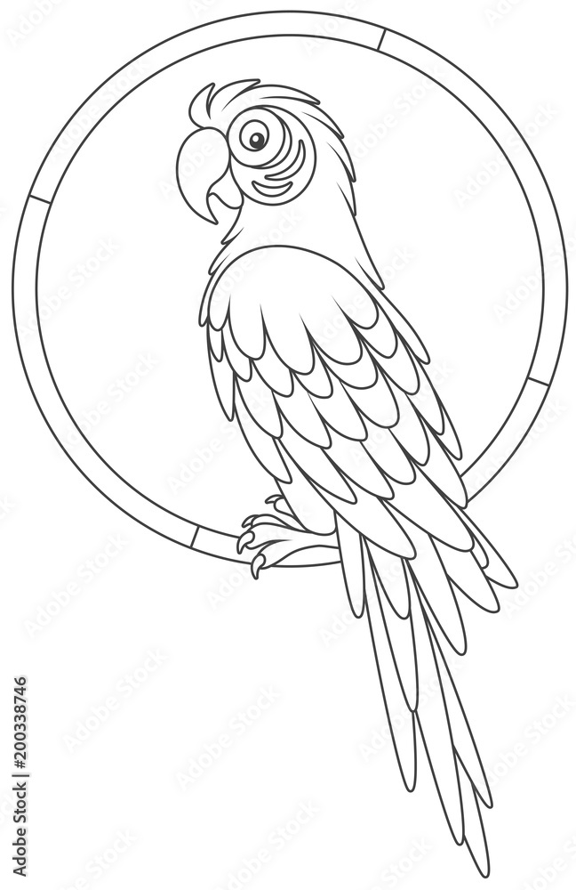 Parrot macaw sitting on a ring, a black and white vector illustration
