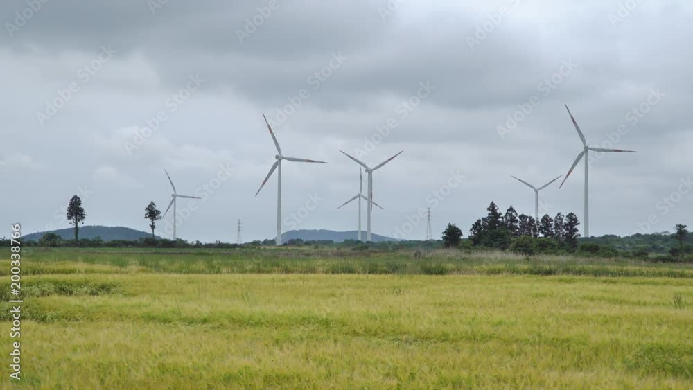 yellow barley field with wind generators and dynamic clouds in Jeju island, Korea.