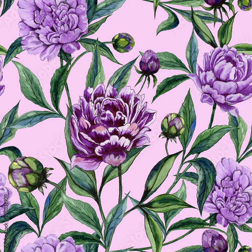 Beautiful purple peony flowers with green leaves on pink background. Seamless...