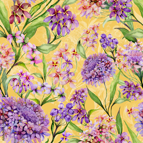 Beautiful iberis flowers with green leaves on yellow background. Seamless flo...
