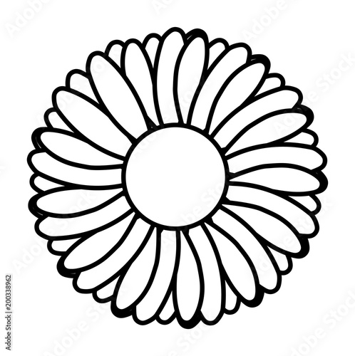 cute sunflower flower decorative icon