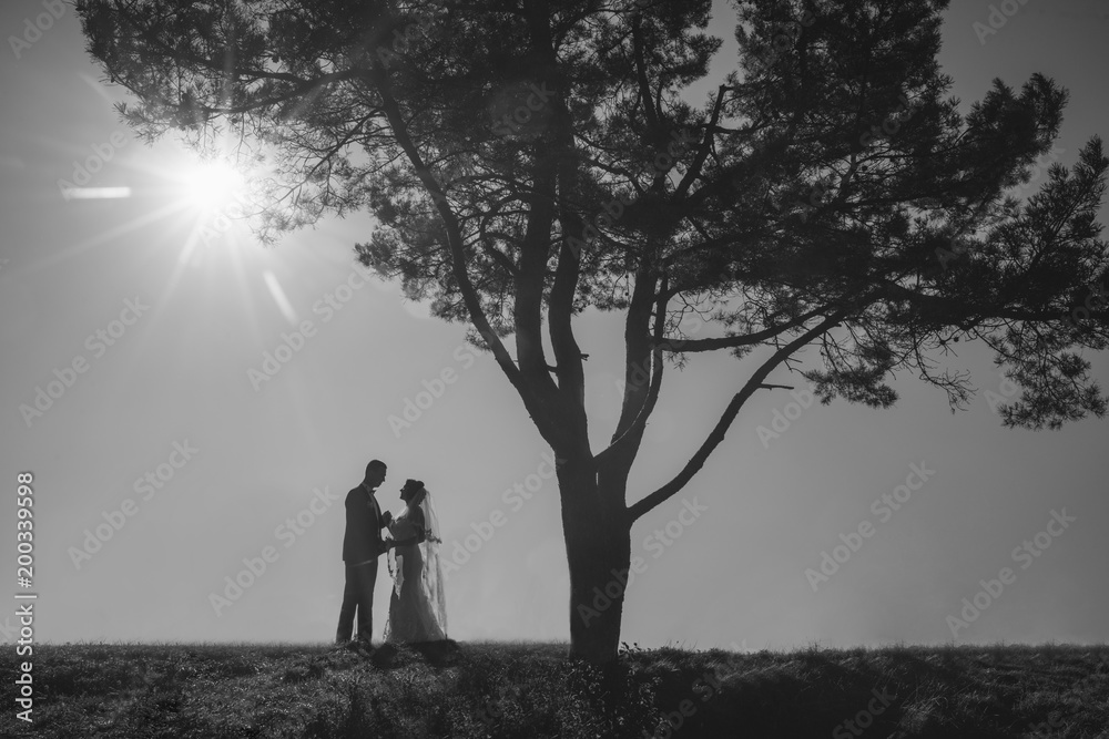 Groom and bride together. Wedding couple. Groom and bride together. Wedding couple.