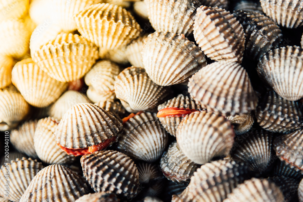 Fresh raw sea cockles clams at seafood market Fresh raw sea cockles clams at seafood market