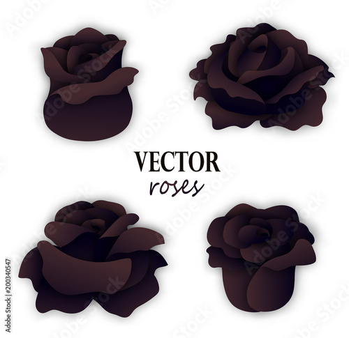 Set of four paper black roses