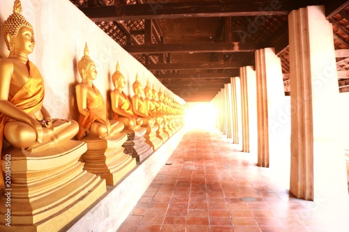 Buddha image god within gold colored in the ayutthaya historical park Thailand