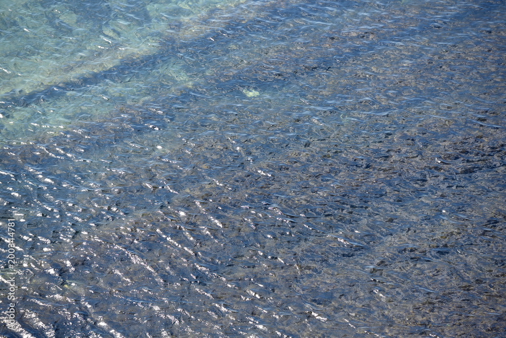 The surface of the water in the sea. Surface and small waves in the sea The surface of the water in the sea. Surface and small waves in the sea