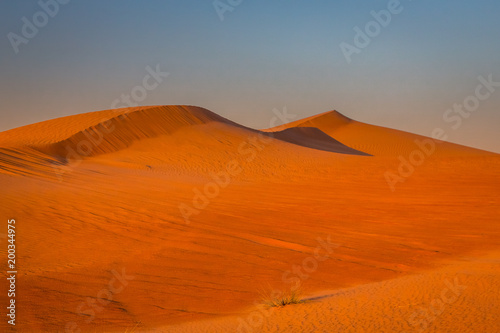 Desert sunset exposure near Dubai  United Arab Emirates
