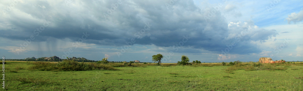 Meadow at Lake Anapa - Uganda, Africa