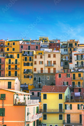 Colorful houses of Manarola, Liguria, Cinque Terre, northern Italy © watman