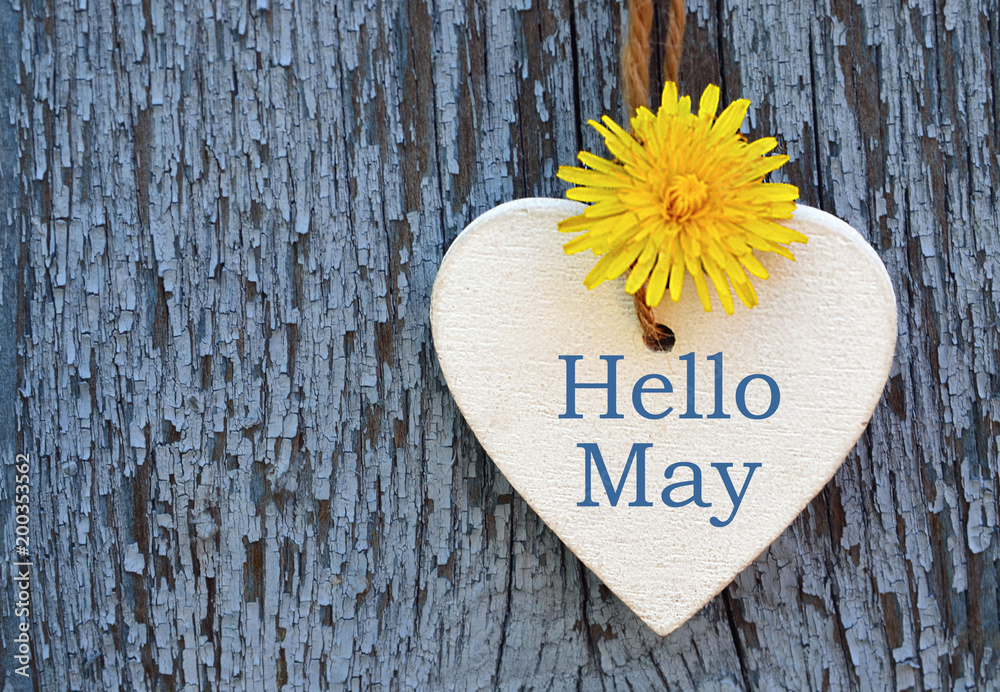 Obraz premium Hello May greeting card with decorative white heart and dandelion yellow flower on old blue wooden background.Springtime concept. Selective focus.