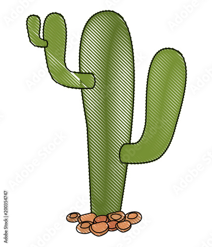 cactus nopal natural icon