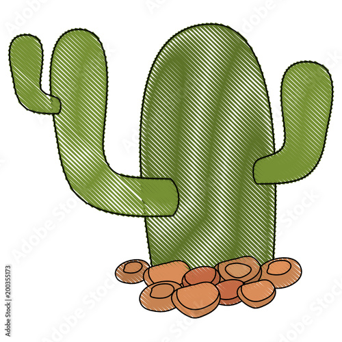 cactus nopal natural icon