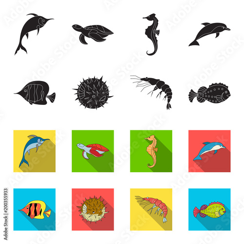 Shrimp, fish, hedgehog and other species.Sea animals set collection icons in black,flet style vector symbol stock illustration web.