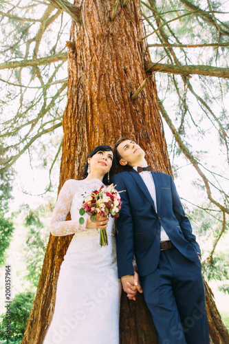 The up view of the throughtful newlyweds leaning on the tree and looking up. photo