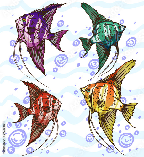 Four colored angelfish handmade invite to plunge into the water colorful world
