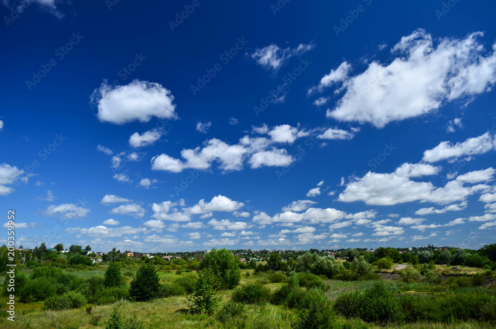 Beautiful summer landscape