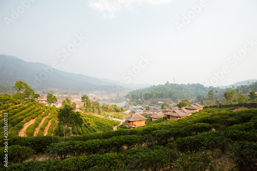 House chainese style at Lee Wine Ruk Thai Resort with Green tea farm