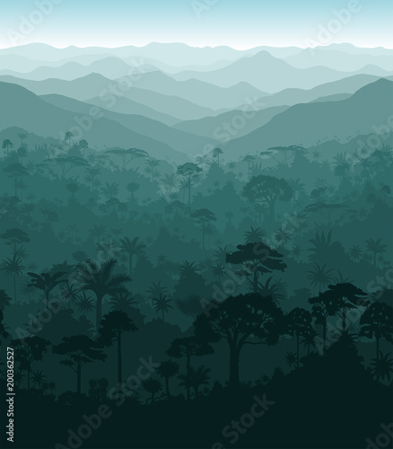 Vector horizontal seamless tropical rainforest Jungle background