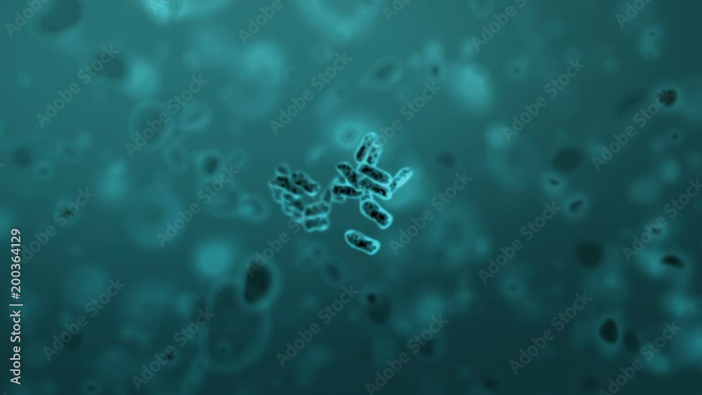 Cloning of Bacteria, beautiful 3d animation with a depth of field. Full HD 1080