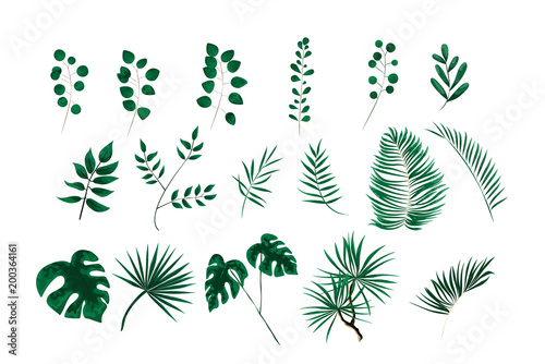green leaves in the style of watercolor