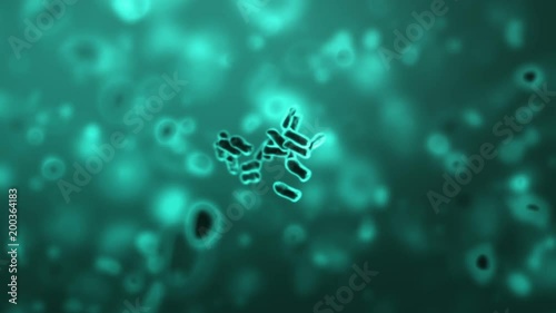 Cloning of Bacteria, beautiful 3d animation with a depth of field. Full HD 1080