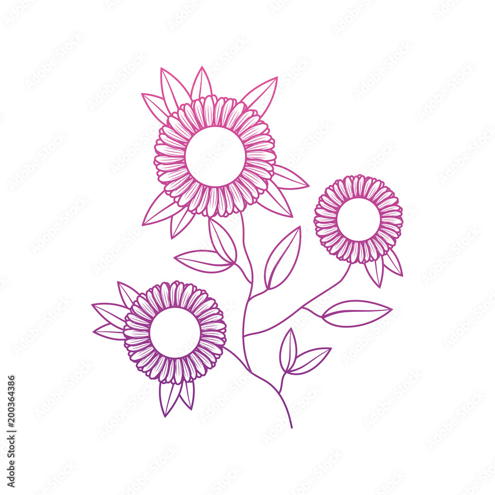 cute sunflower flower with leafs decorative cute sunflower flower with leafs decorative