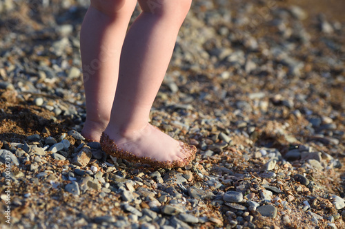 The legs of a small child. The legs of the child go along a sandy beach with pebbles to the sea © pridannikov
