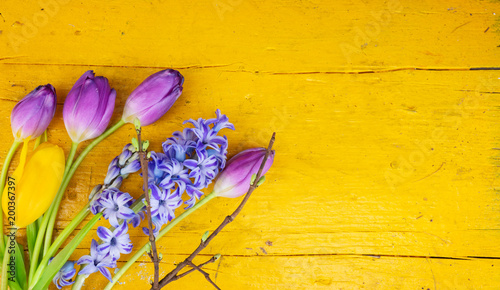 Fototapeta Naklejka Na Ścianę i Meble -  Tulpen und Hyazinthe auf gelben Holz, Grußkarte