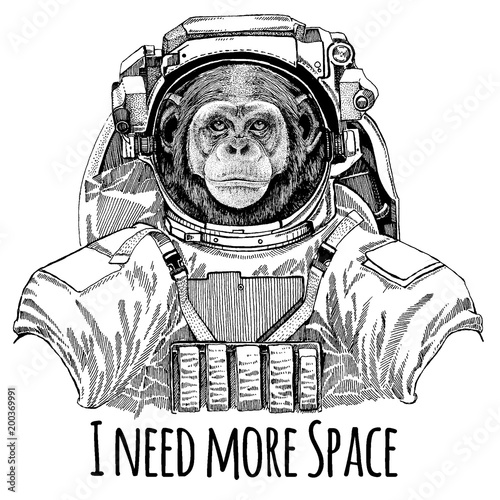 Chimpanzee Monkey Astronaut. Space suit. Hand drawn image of lion for tattoo, t-shirt, emblem, badge, logo patch kindergarten poster children clothing © helen_f