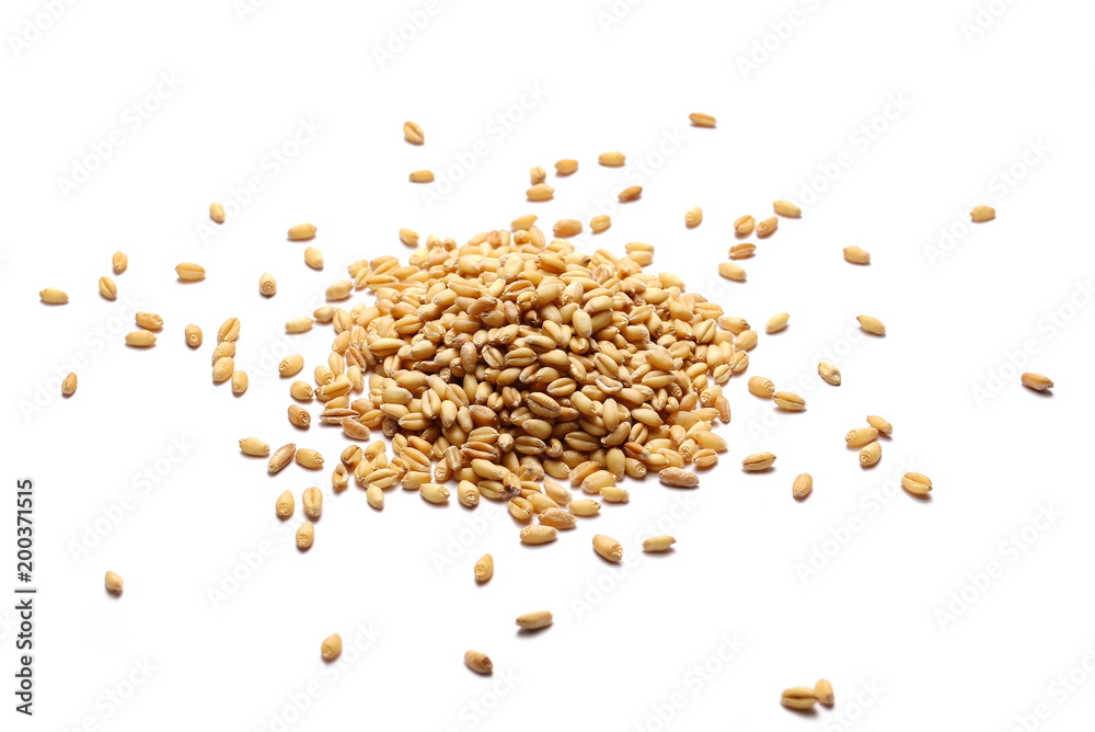 Wheat grains, pile isolated on white background Wheat grains, pile isolated on white background
