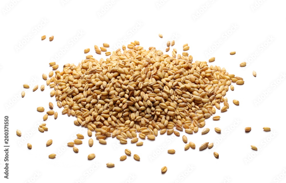 Wheat grains, pile isolated on white background Wheat grains, pile isolated on white background